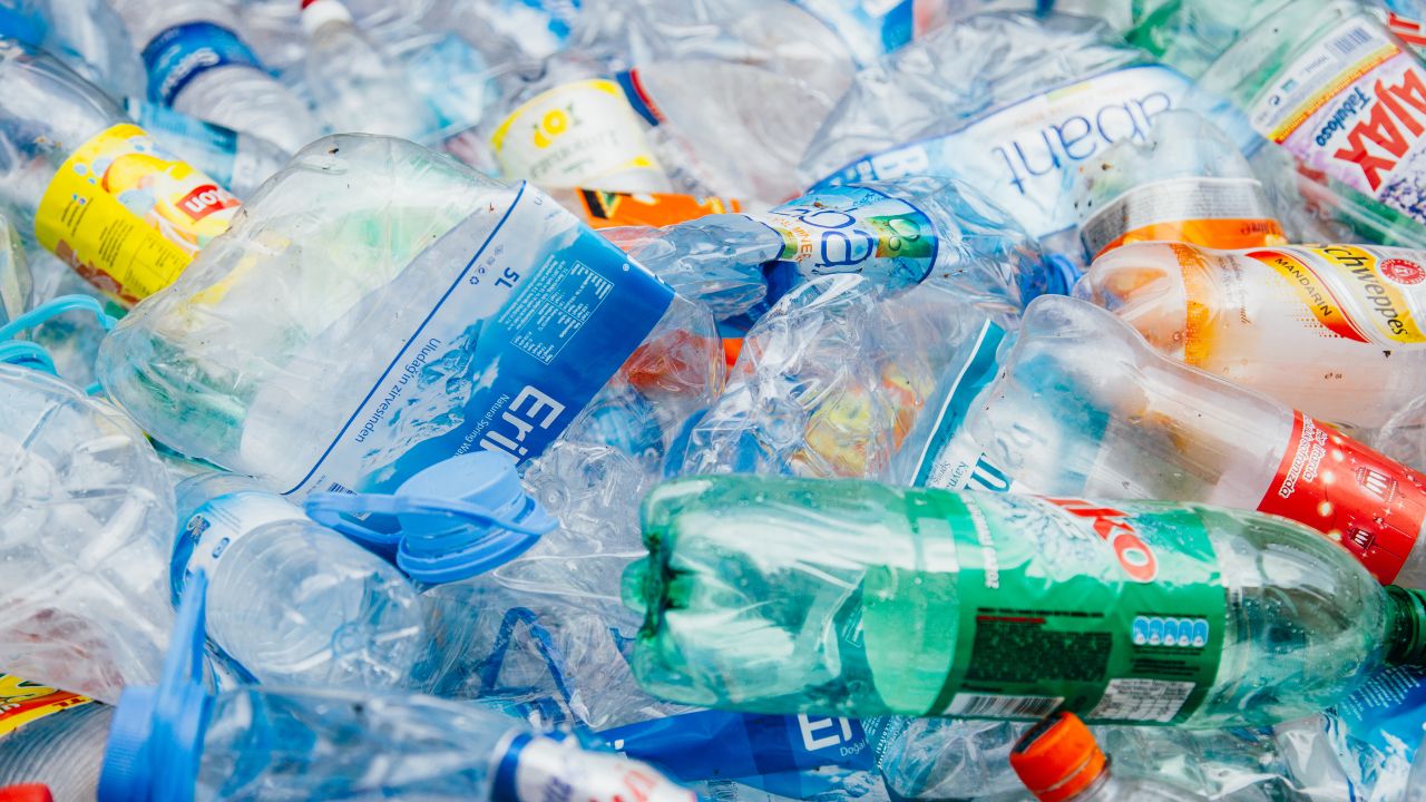  What is Pet Recycling ? 